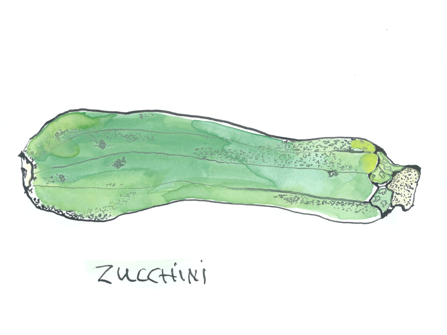 Courgette.png