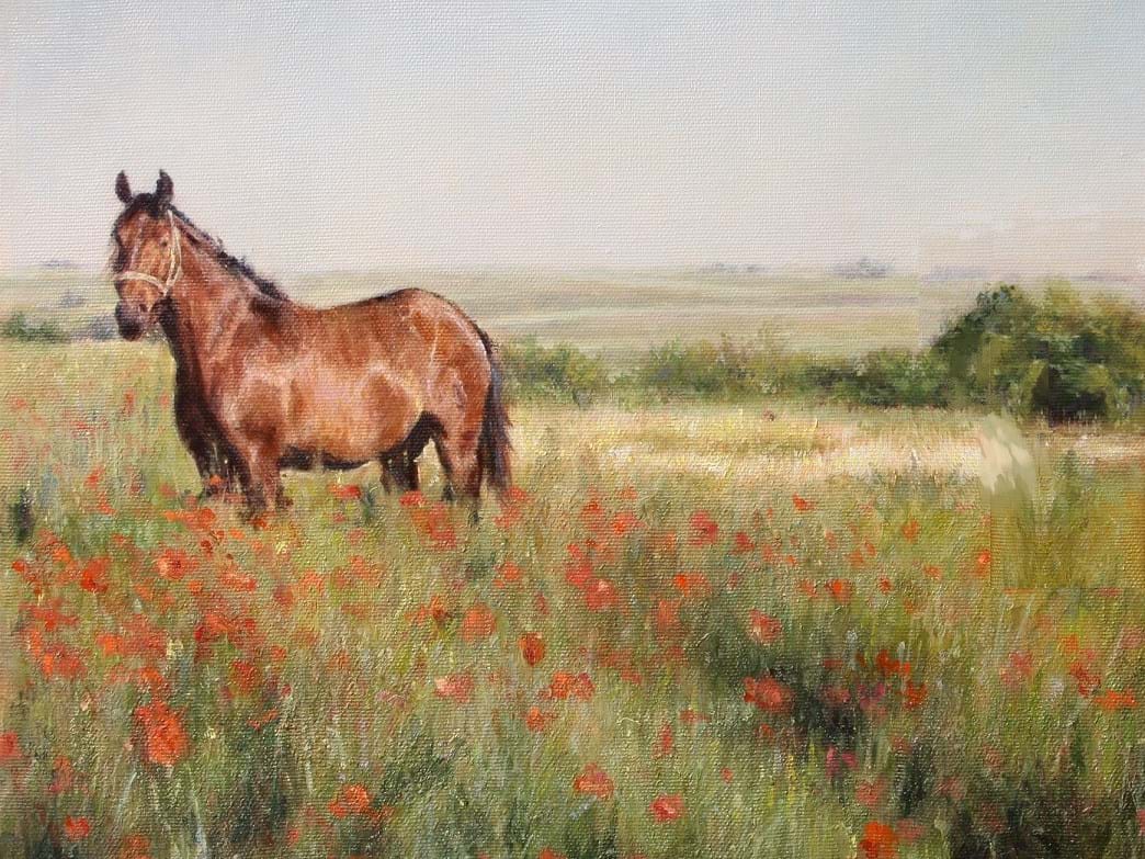 Fine-Art-Horses-in-a-Poppy-field-Original-Oil-Painting-on-Canvas-by-artist-Darko-Topalski-bijgesn-k.jpg