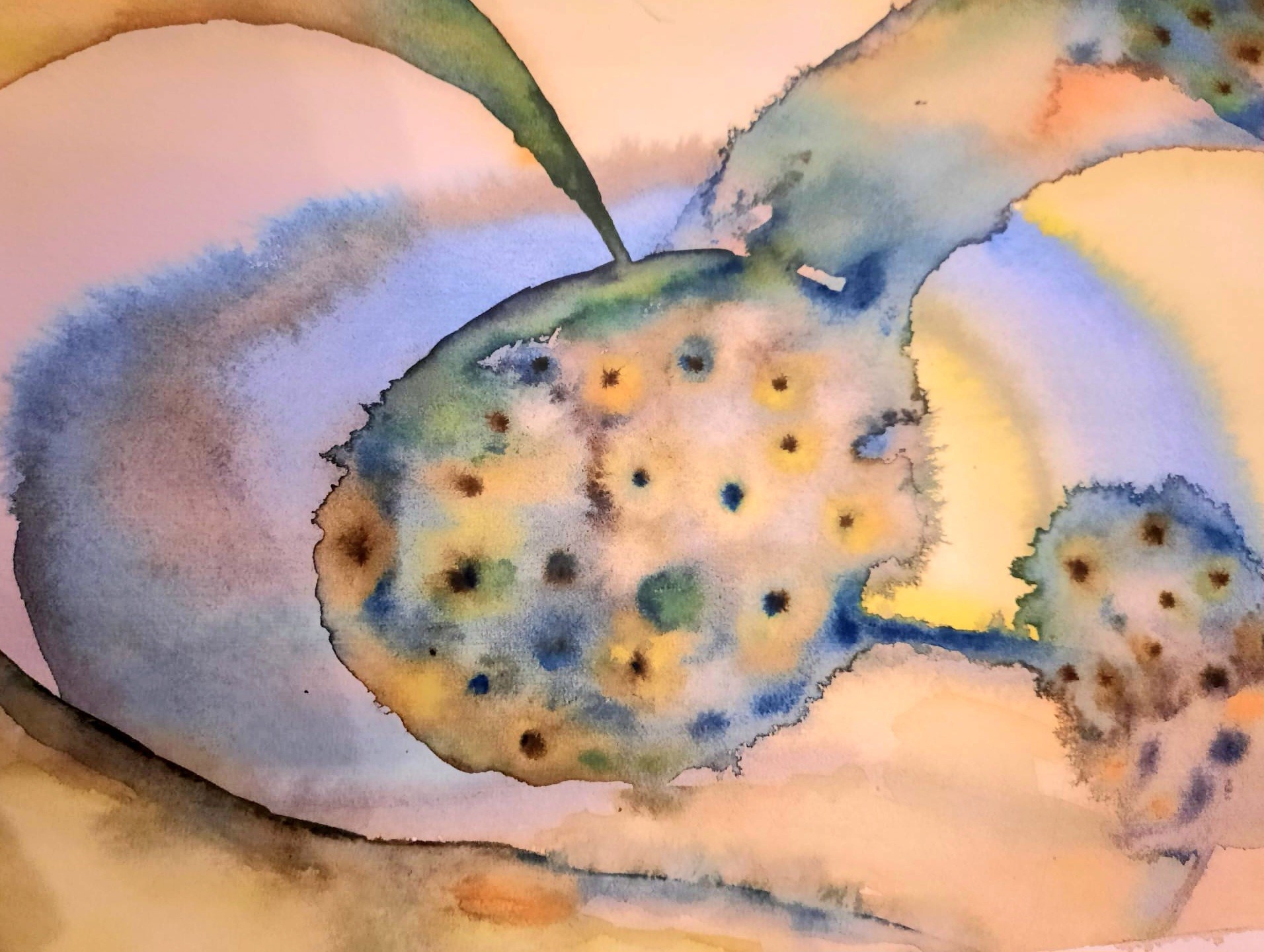 Aquarel2025 2