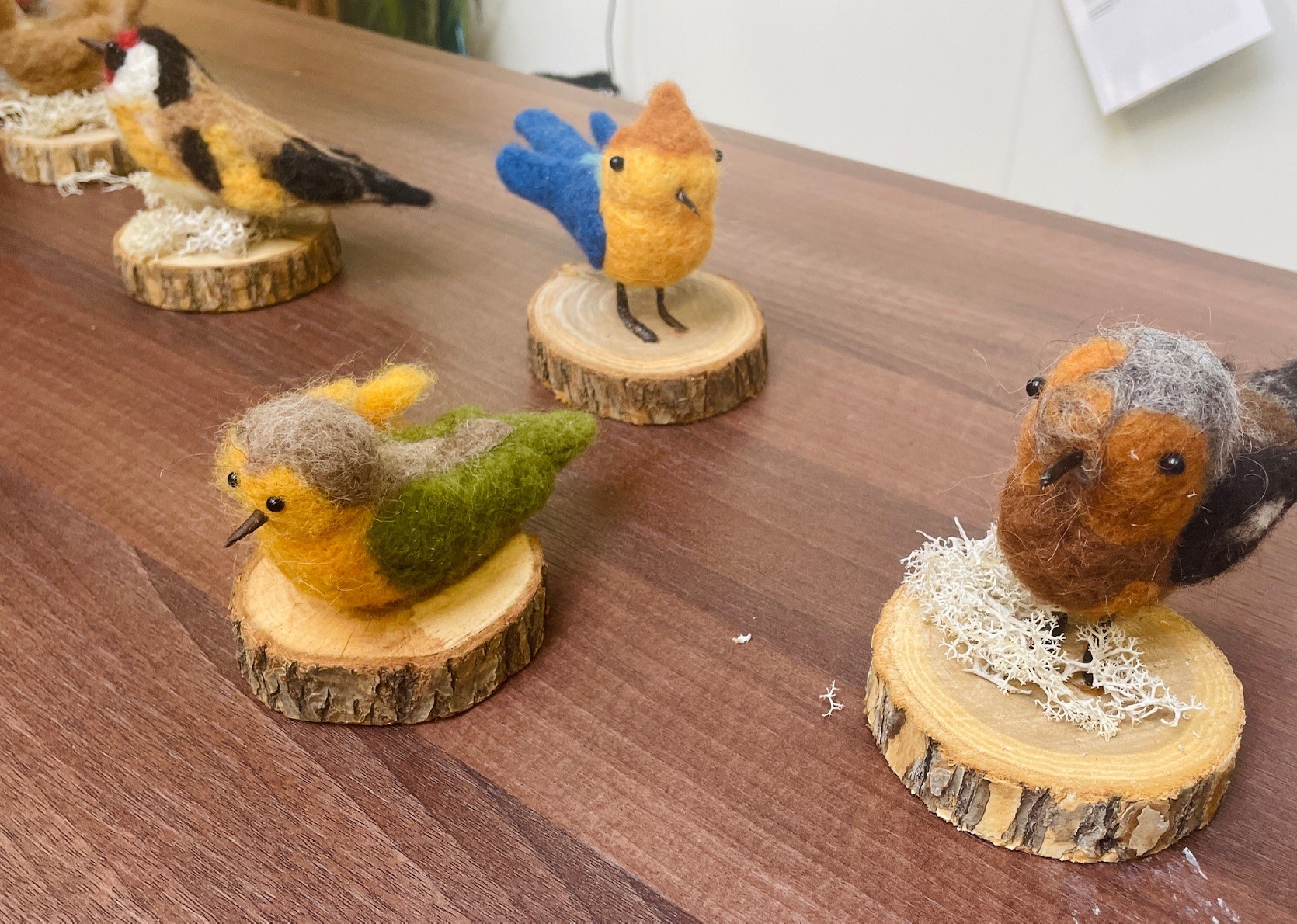 Vogel Vilten Weekend Workshop Maart 2025