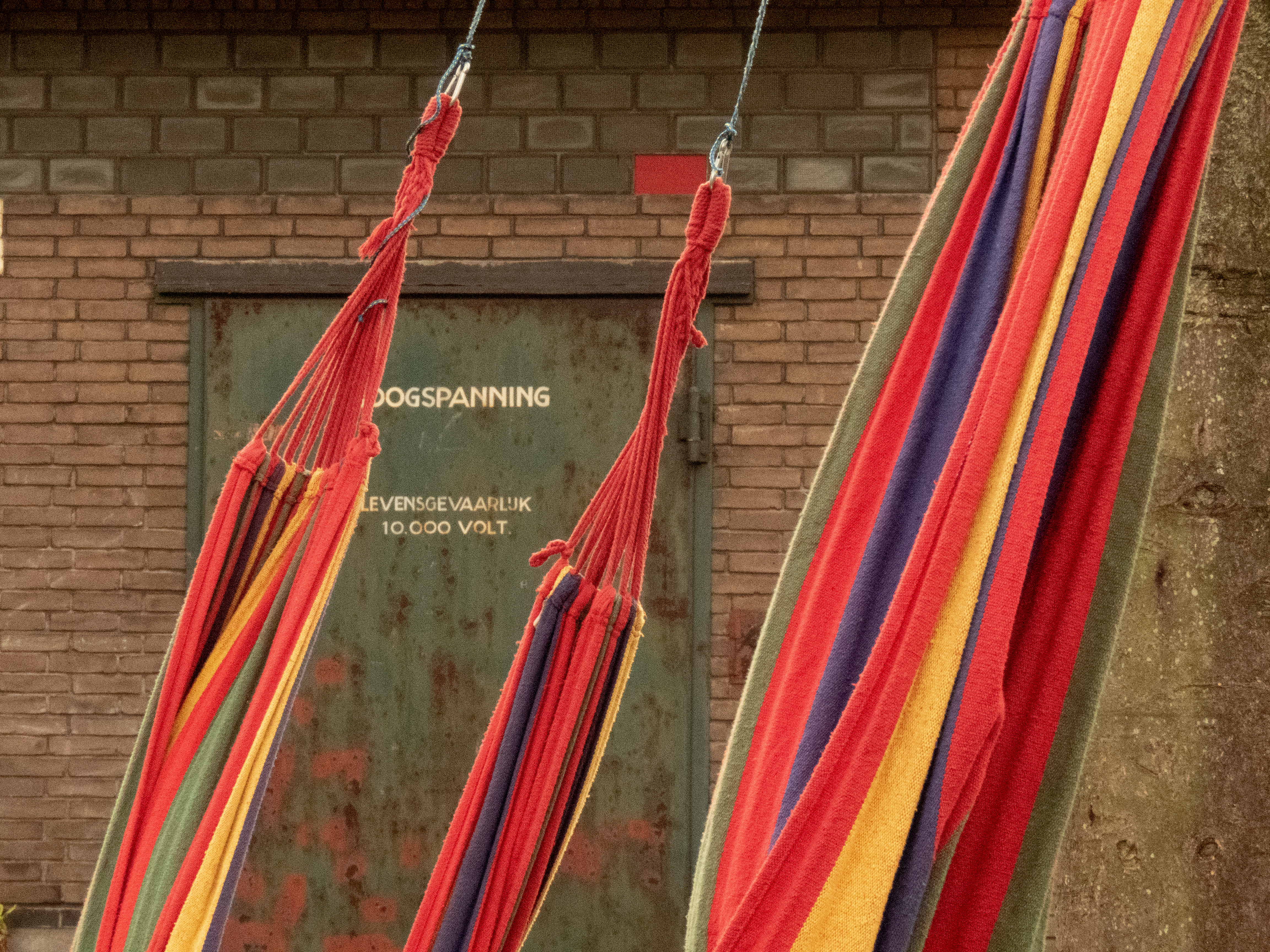 20181208 002 (H.Jonk7213)